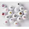 Generic Blank White Golf Ball (2016) - One Dozen Bulk Balls